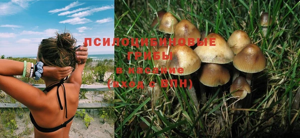 прущие грибы Володарск