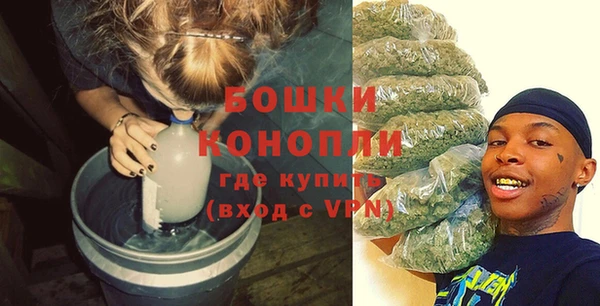мяу мяу мука Дмитриев