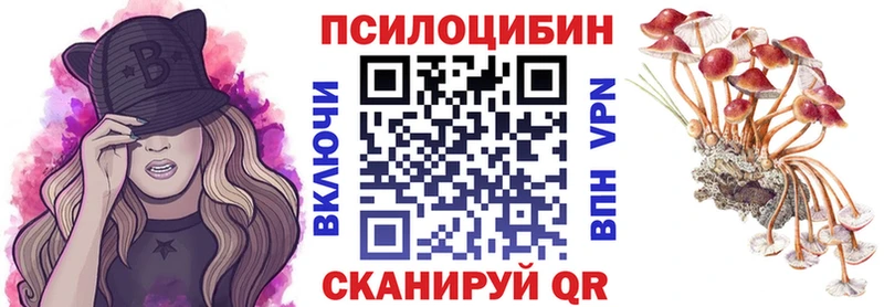 Галлюциногенные грибы Cubensis Гусь-Хрустальный